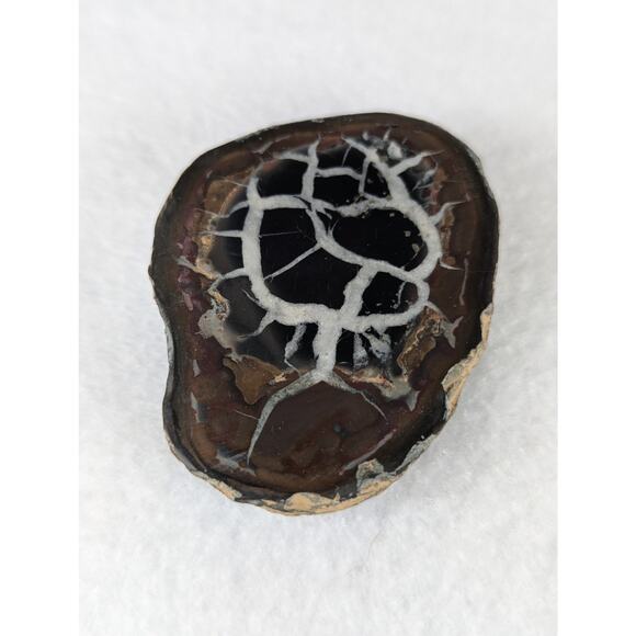 Dragon Stone Septarian slice fossil 41 x 55mm 35.5 grams Thunder egg NWOT - Picture 11 of 11